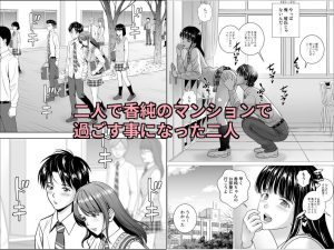 春くらべ6：官能的な同人作品の魅力