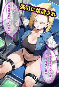18号をアンドロイド化でNTR成功 レビュー