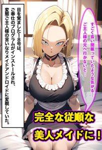 18号をアンドロイド化でNTR成功 レビュー