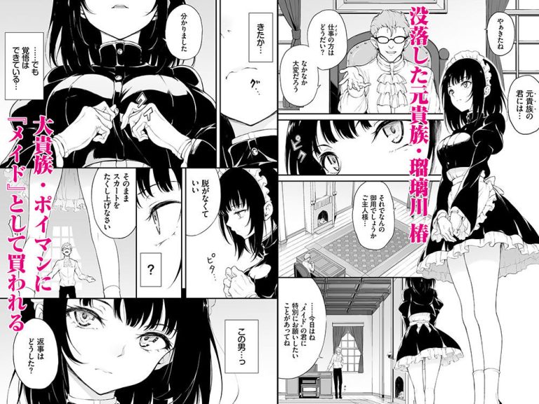 没落貴族のメイド教育総集編 レビュー