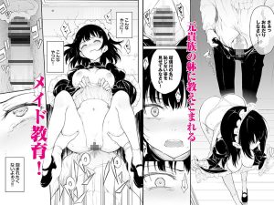 没落貴族のメイド教育総集編 レビュー
