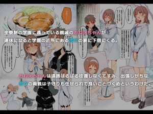 オスになった僕とメスになったおねえちゃん レビュー