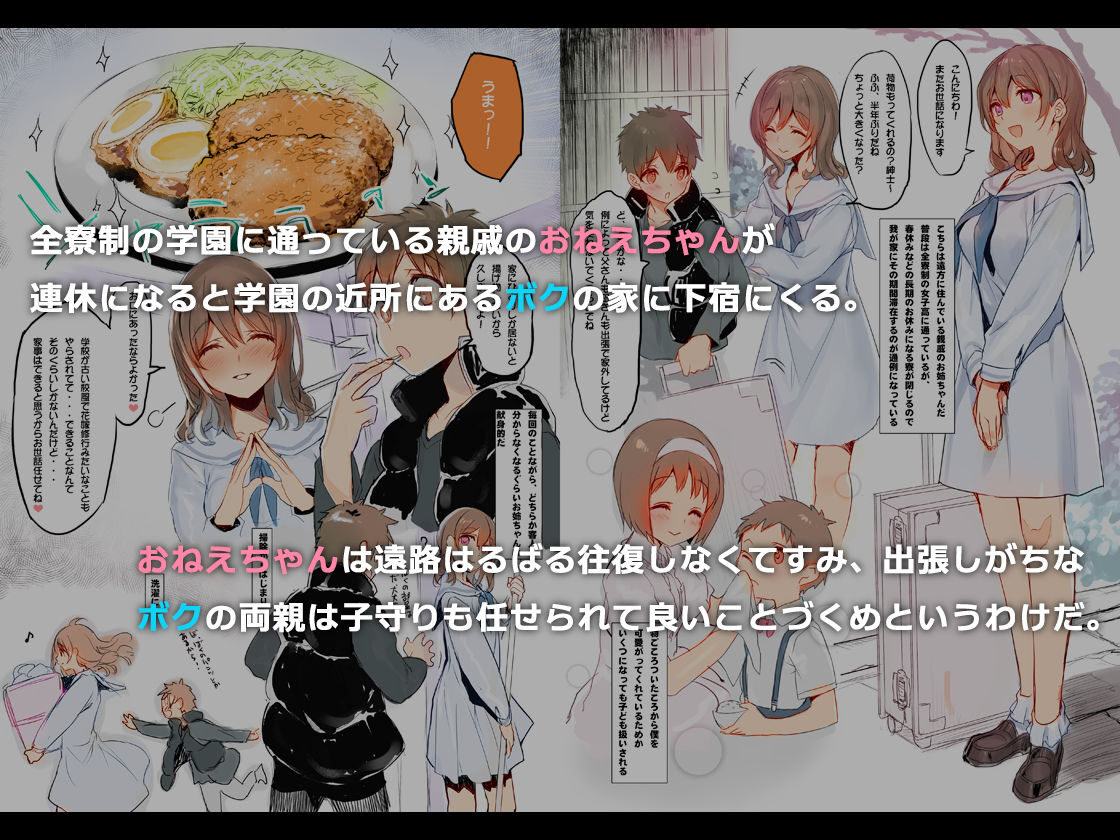 オスになった僕とメスになったおねえちゃん レビュー