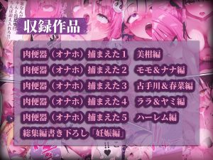 肉便器捕まえた 総集編 レビュー