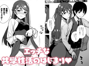 今日から始まる共学性活 総集編の魅力と見どころ