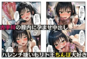 リト王のハーレム完成・全員孕む絶倫Hレビュー