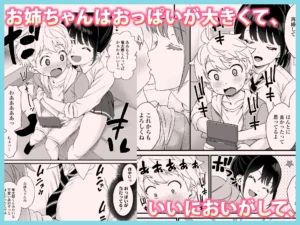 義理のお姉ちゃんとセックスする話 レビュー