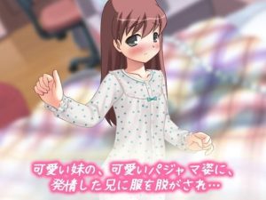 孕ませ妹 2本セット エロゲーム レビュー