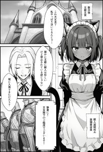悪政王女の見えないドレスエロティック物語