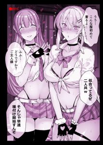 催●学園風俗ひゅぷらば〜お嬢様・白瀬塔子編〜レビュー