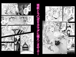 エルフに淫紋を付ける本 LEVEL:9の魅力