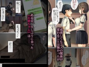 メス堕ちお姉ちゃんのエロティックな変貌