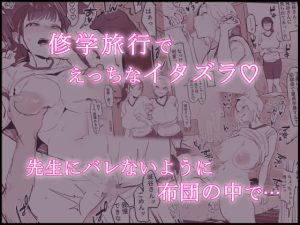 ぽりうれたん短編集-艶-の魅力と見どころ