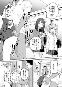 美少女J●たちのご奉仕記録 レビュー