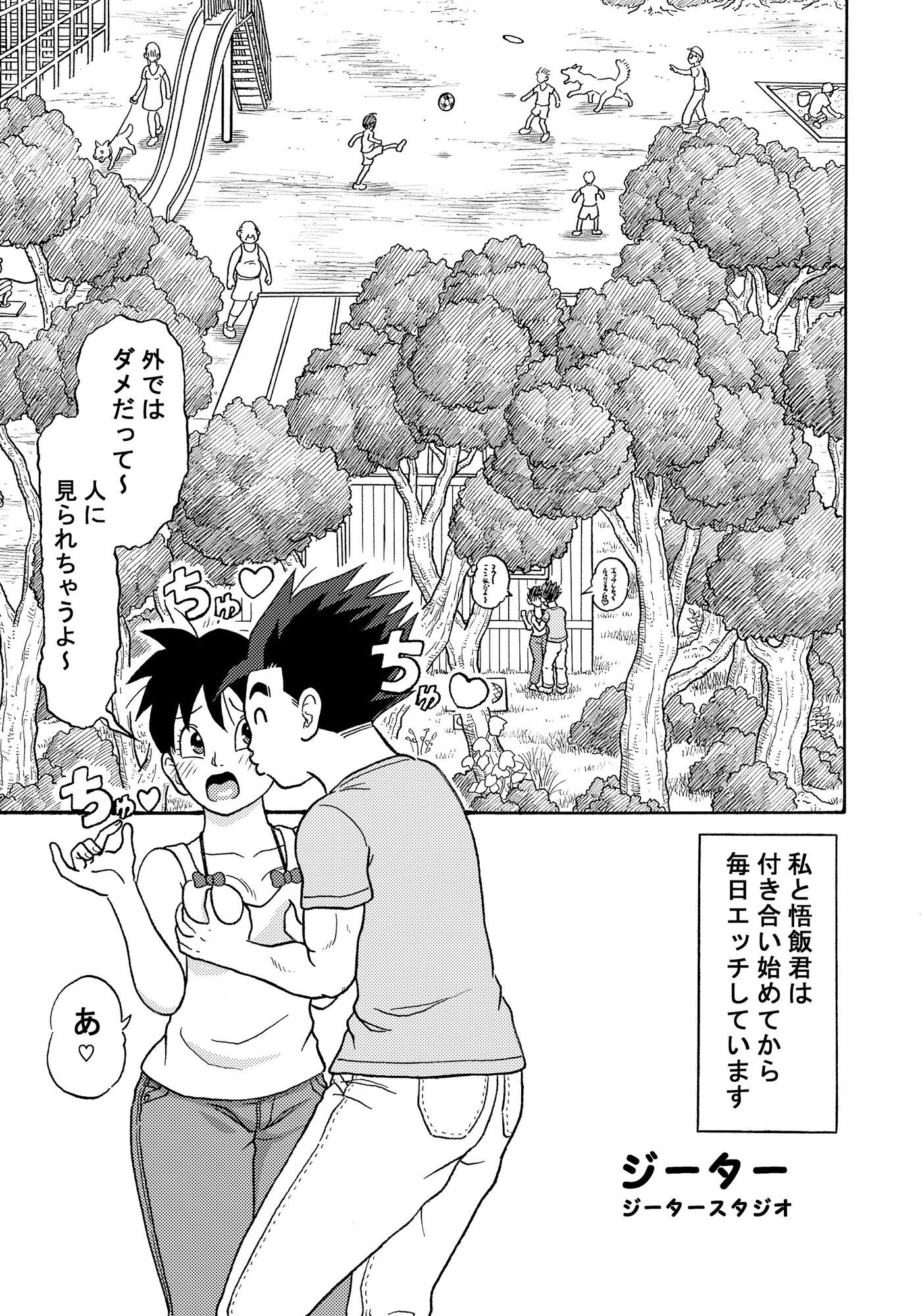 ビーデルさんとお外でエッチの魅力的なシーン