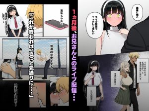 背徳AV2 姉の彼氏寝取り編の魅力と見どころ