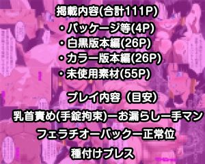 街の平和を守るビー〇ルの復讐種付けプレス