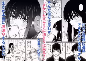 裏修学旅行日記〜青春できない僕らの、秘密の2泊3日〜